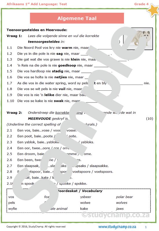 Grade 4 Afrikaans Toets: Algemene Taal