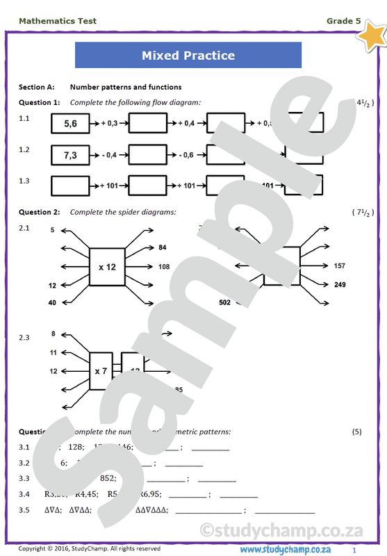 Grade 5 Mathematics Test: Mixed Concepts 1