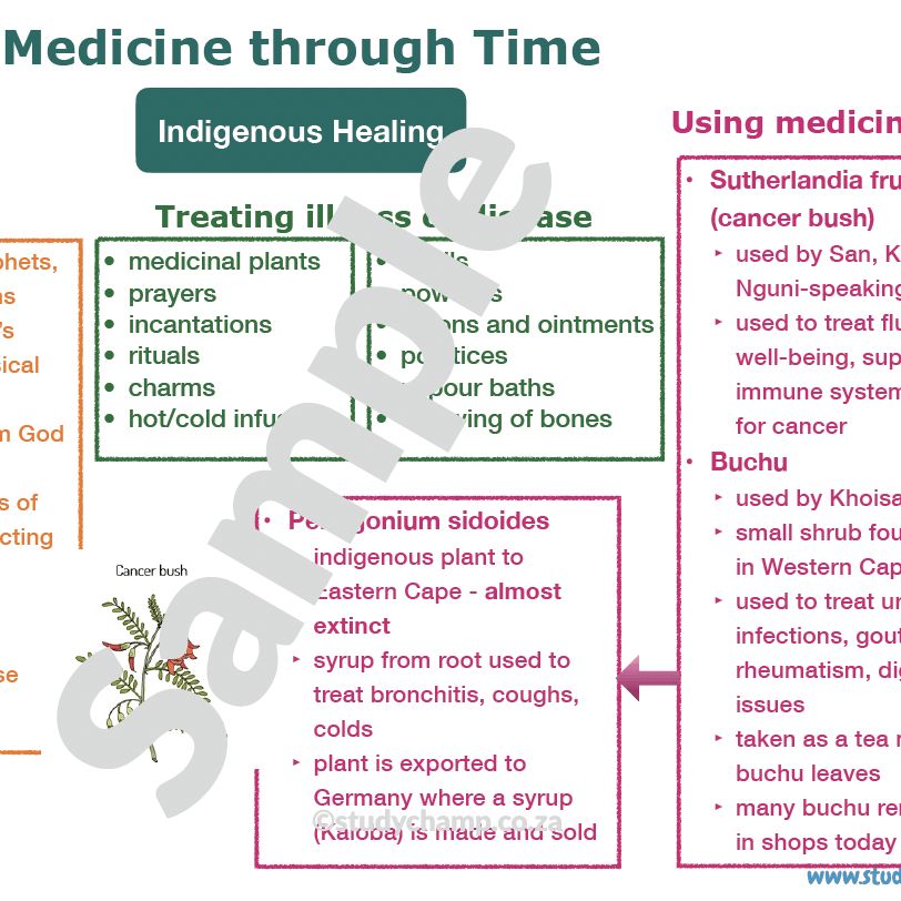 Grade 6 History Summary: Medicine through time