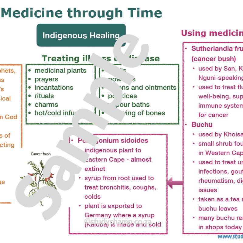 Grade 6 History Summary: Medicine through time
