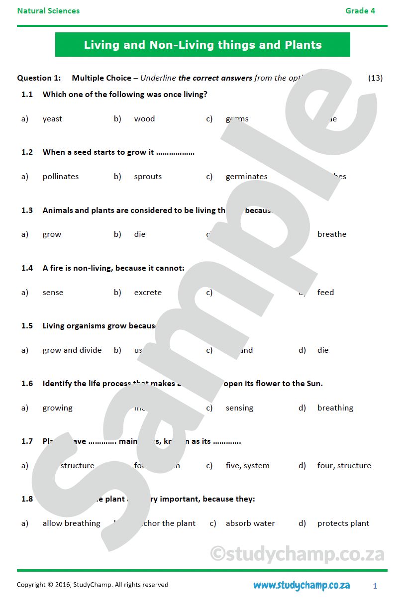 Grade 4 Natural Sciences Test: Living and non-living things and Plants