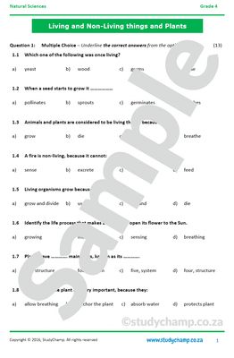 Grade 4 Natural Sciences Test: Living and non-living things and Plants