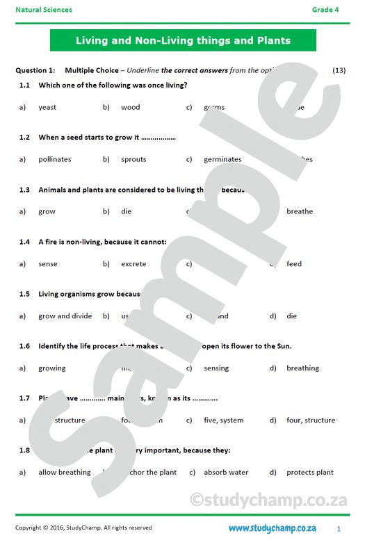 Grade 4 Natural Sciences Test: Living and non-living things and Plants