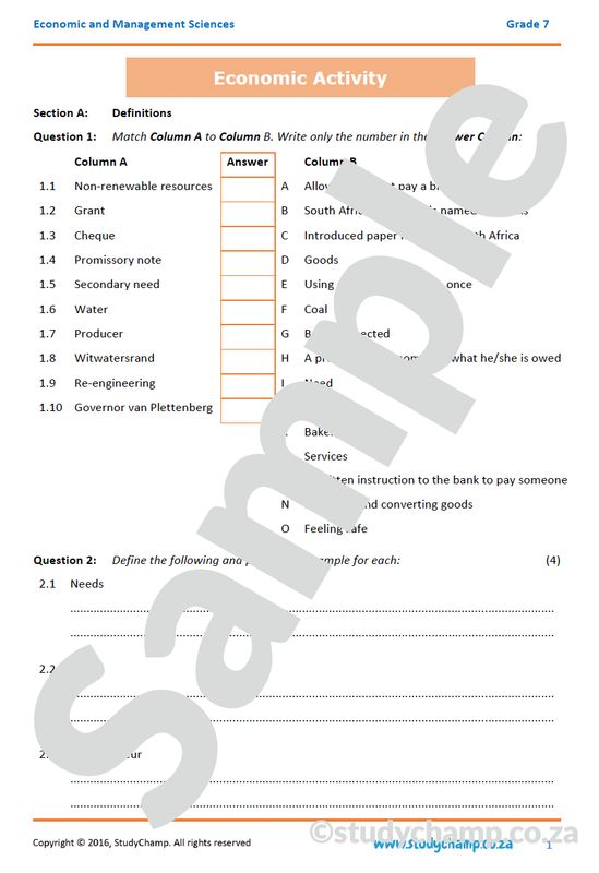 Grade 7 EMS Test: Economic Activity