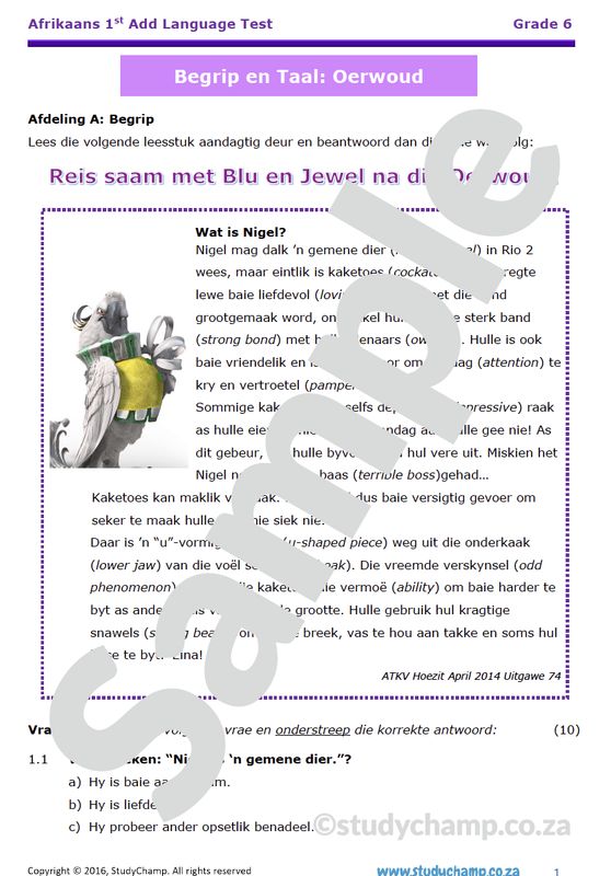 Grade 6 Afrikaans Toets: Oerwoud