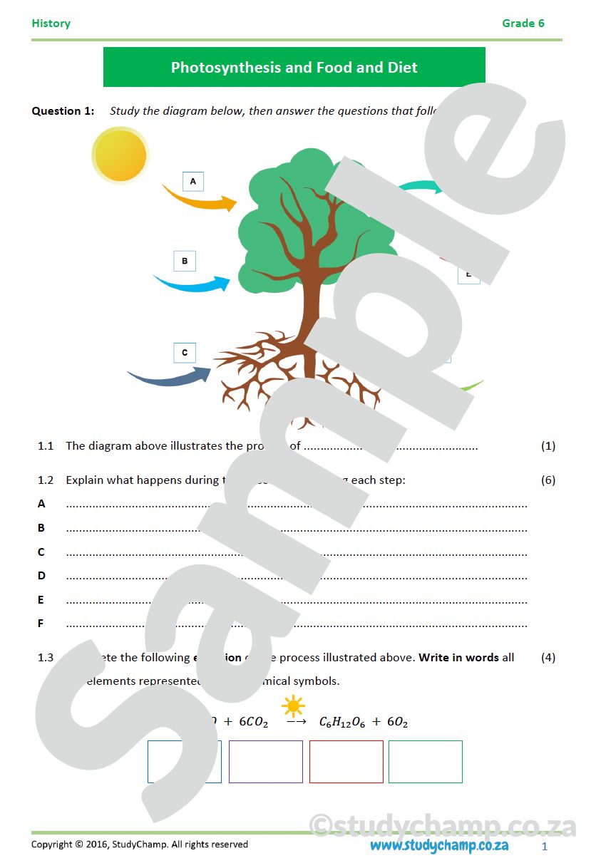 Grade 6 Natural Sciences Mid-year Exam Revision
