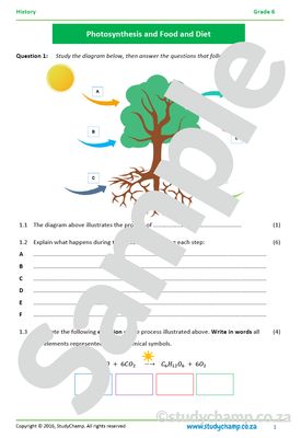Grade 6 Natural Sciences Mid-year Exam Revision