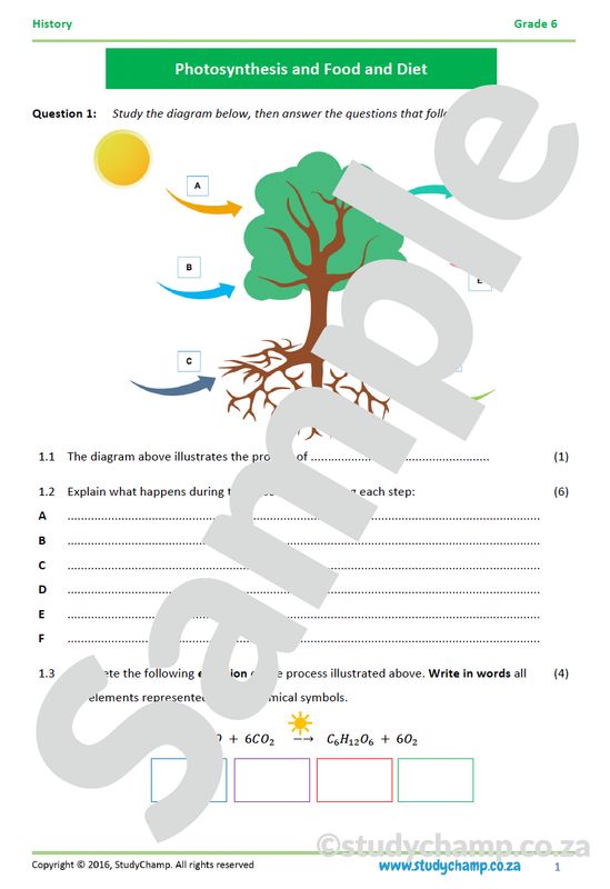 Grade 6 Natural Sciences Mid-year Exam Revision