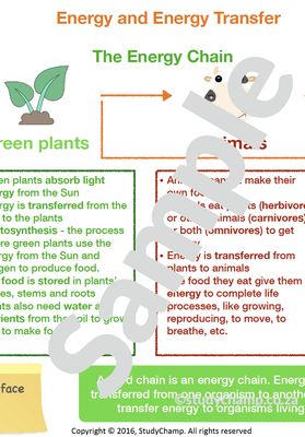 Grade 4 Natural Sciences Summary: Energy and Sound