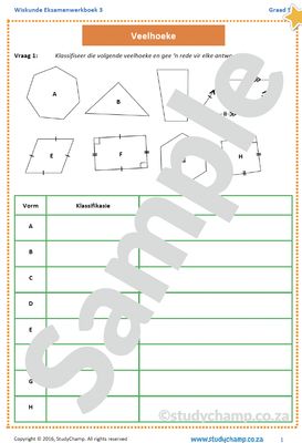 Graad 5 Wiskunde Jaareind Hersiening: Werkboek 3