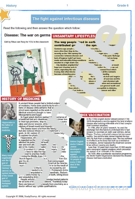Grade 6 History Worksheet: Diseases