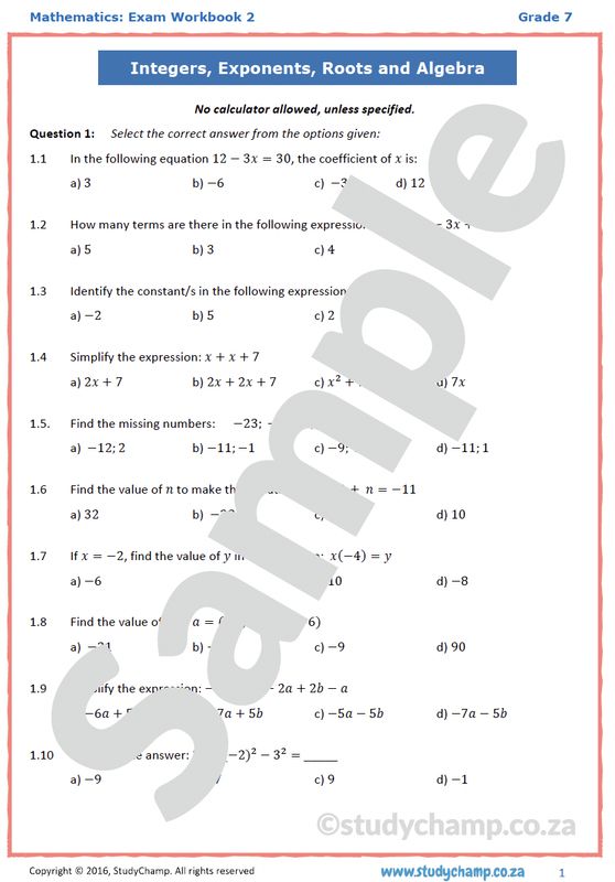 Grade 7 Mathematics Year-end Exam Revision: Workbook 2