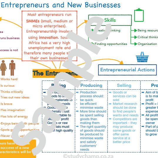 Grade 7 EMS Summary: Entrepreneurs and new businesses