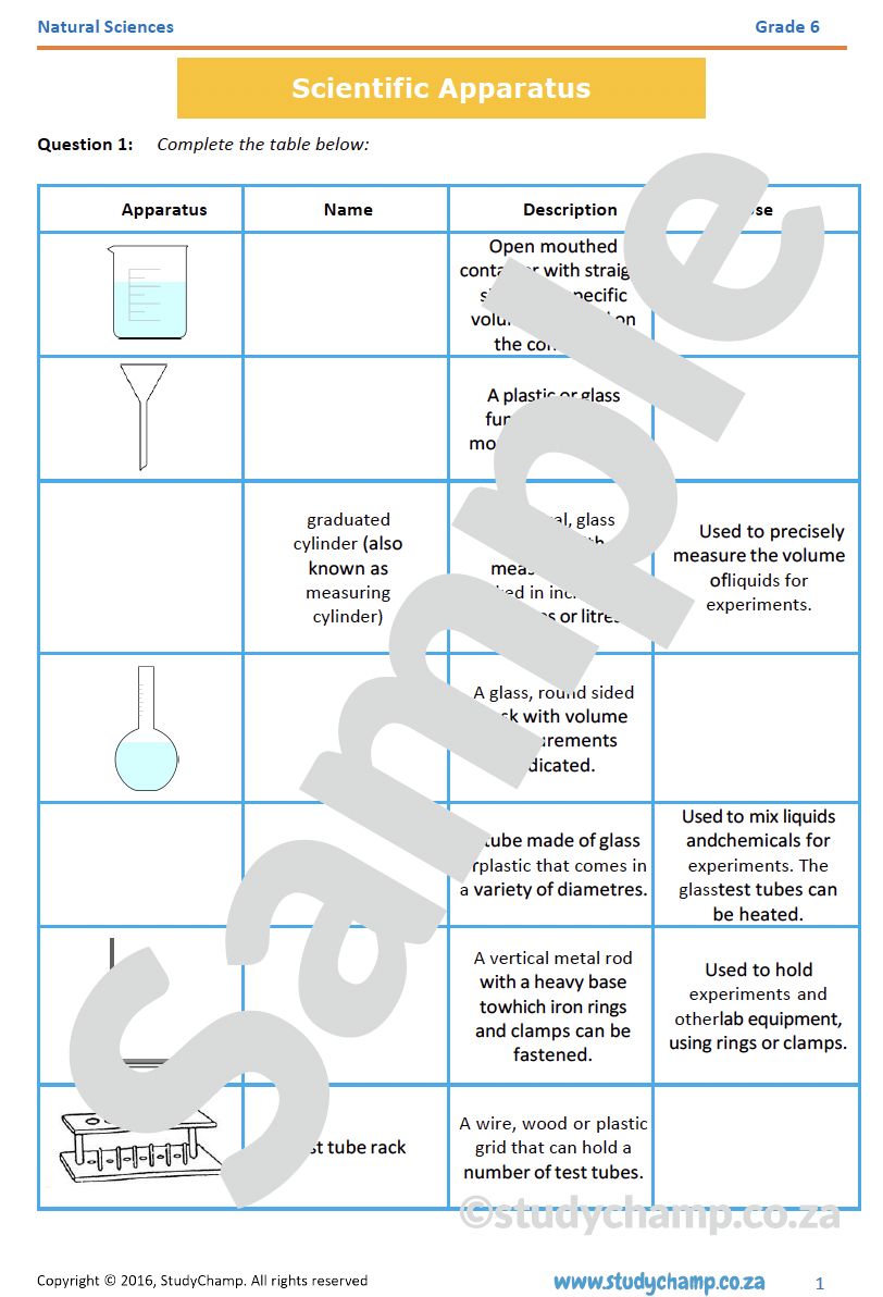 Grade 6 Natural Sciences Exam Revision: Workbook 1
