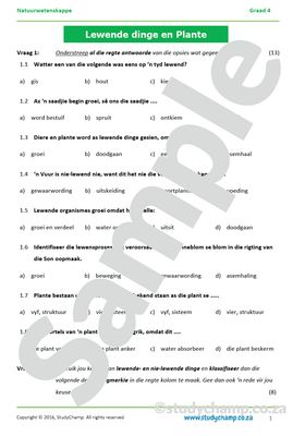 Graad 4 Natuurwetenskappe Toets: Lewende- en Nie-lewende dinge en Plante