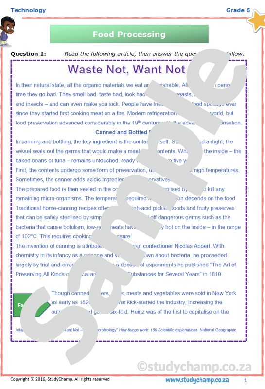 Grade 6 Technology Test: Processing