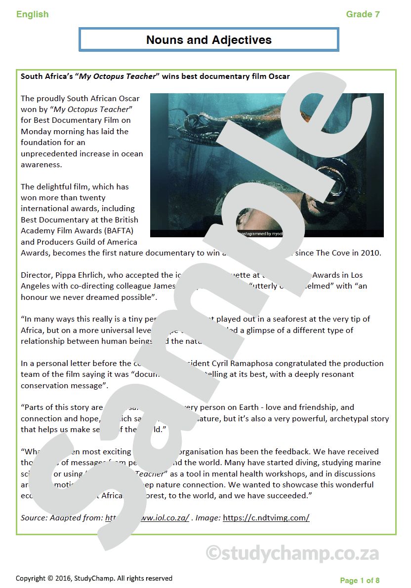 Grade 7 English Worksheet: Nouns and Adjectives