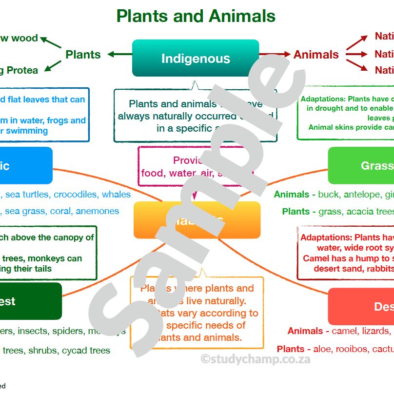 Grade 5 Natural Sciences Summary: Plants, animals and interdependence