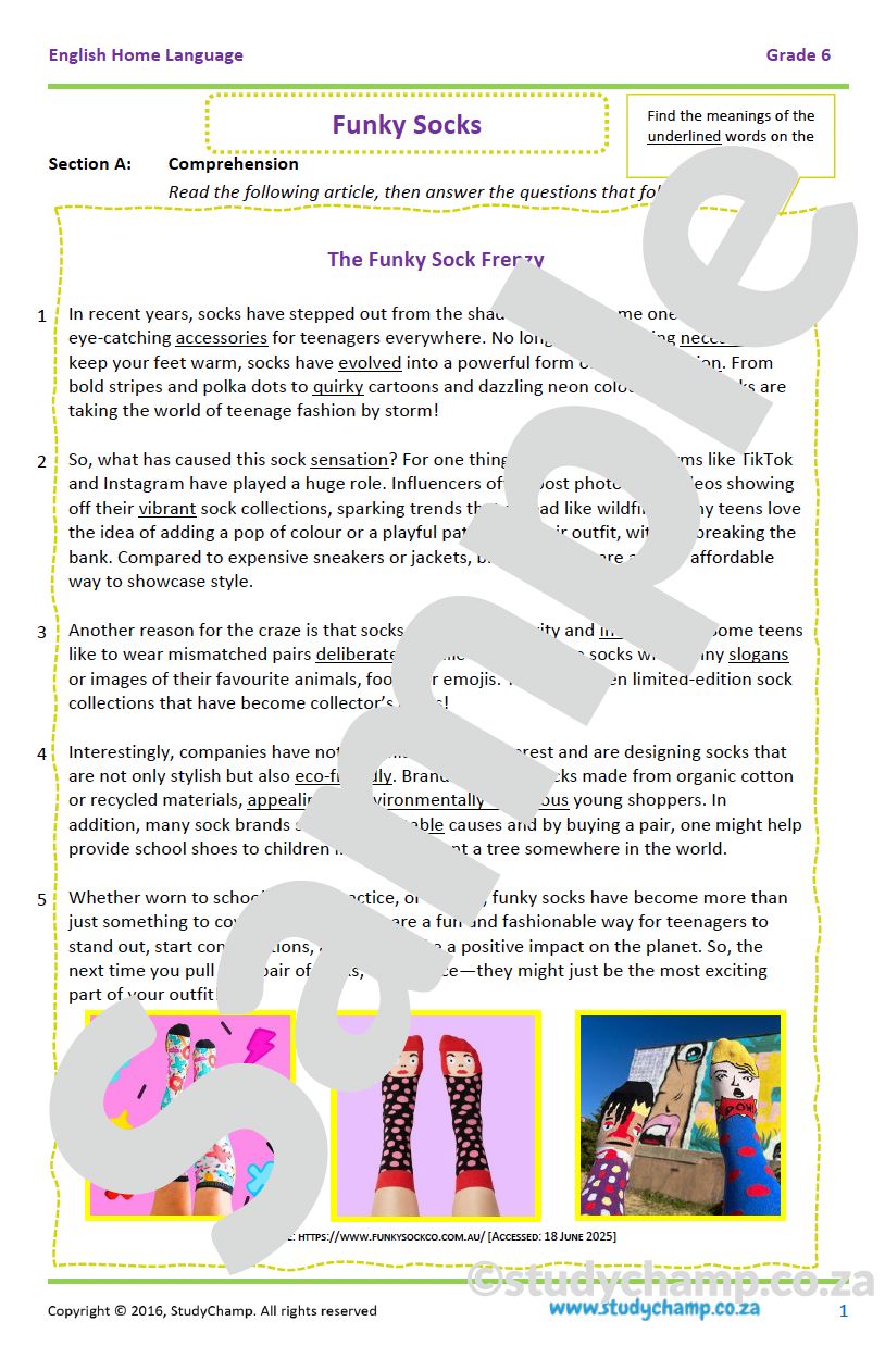 Grade 6 English Comprehension: Funky Socks