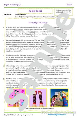 Grade 6 English Comprehension: Funky Socks