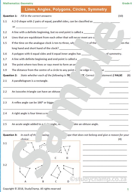 Grade 6 Maths Test: Geometry - Lines, Angles and Polygons