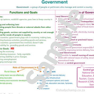 Grade 8 EMS Summary: Government and the Economy