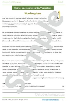 Grade 8 Afrikaans Begrip en Taal: Woede