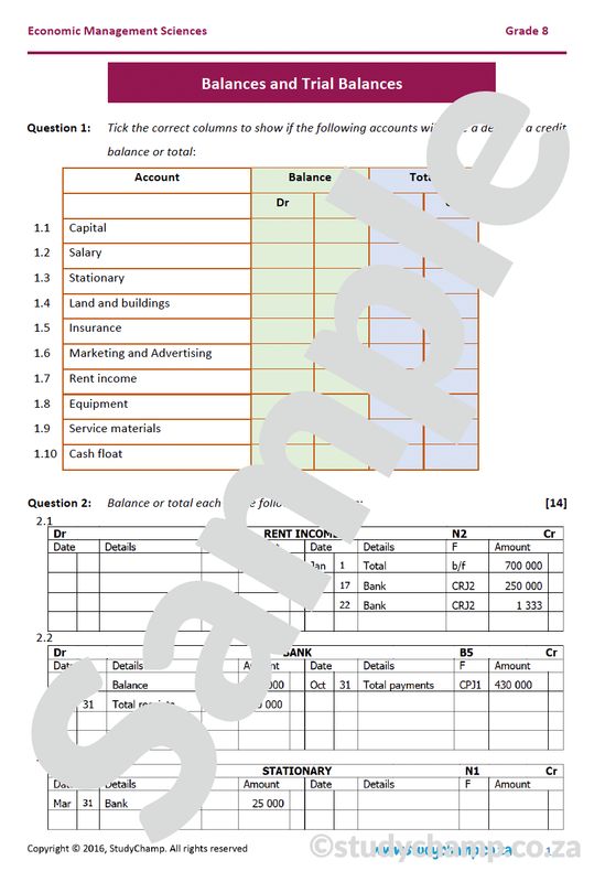 Grade 8 EMS Test: Balancing and Trial Balances