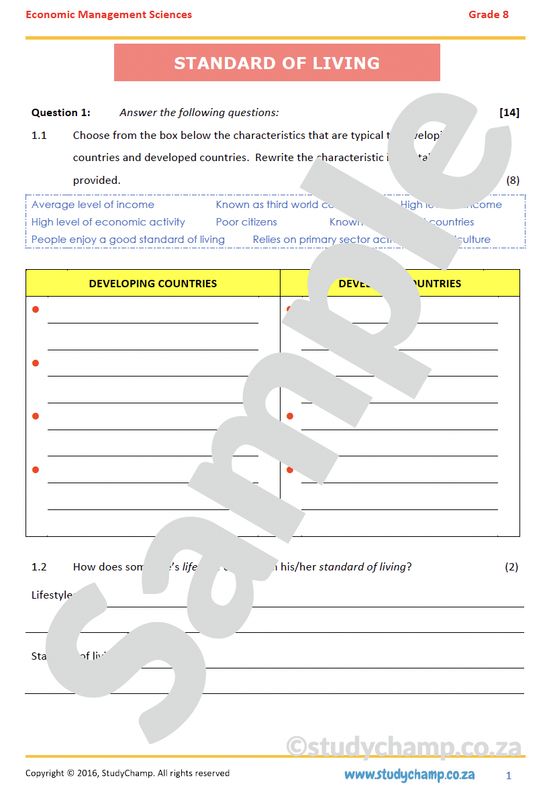 Grade 8 EMS Test: Standard of Living