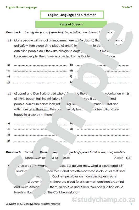 Grade 7 English Mid-year Exam Revision: Language and Grammar