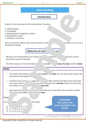 Grade 7 Mathematics Worksheet: Data Handling 2