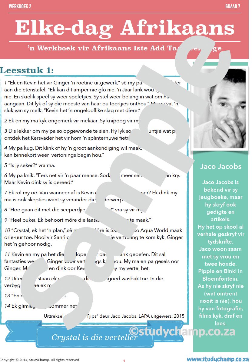 Grade 7 Afrikaans Begrip en Taal: Vis en Tjips