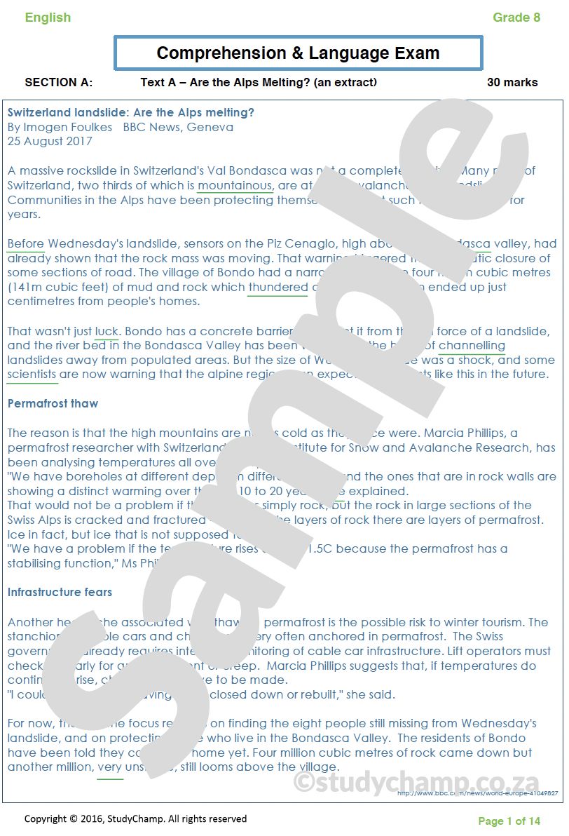 Grade 8 English Year-end Exam Revision: Comprehension and Language