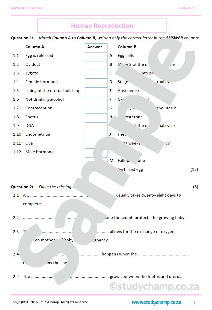 Grade 7 Natural Sciences Test: Human Reproduction