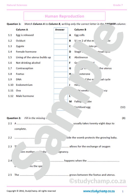 Grade 7 Natural Sciences Test: Human Reproduction