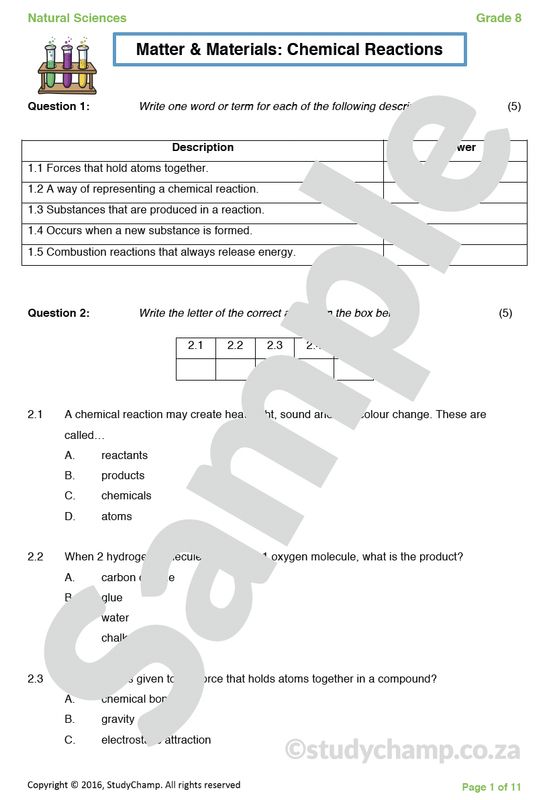 Grade 8 Natural Sciences Test: Chemical Reactions