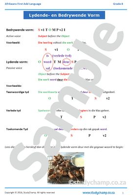 Grade 8 Afrikaans: Lydende en Bedrywende vorm