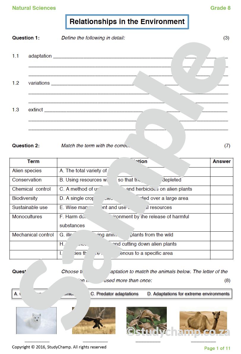 Grade 8 Natural Sciences Test: Relationships in the Environment B