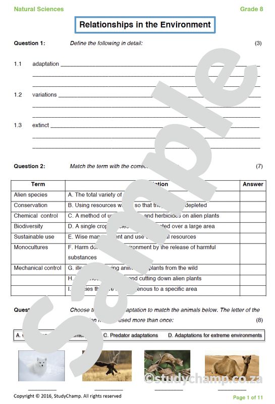 Grade 8 Natural Sciences Test: Relationships in the Environment B