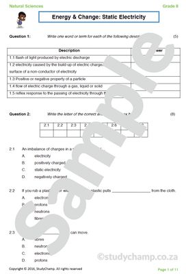 Grade 8 Mathematics Test: Statistics and Data handling