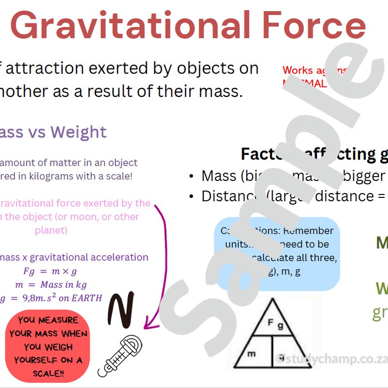 Grade 9 Natural Sciences Summary: Forces