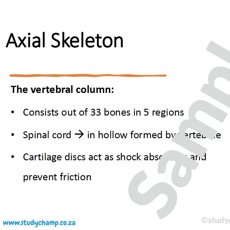 Grade 10 Life Sciences Summary: Support in Animals and Transport in  Mammals