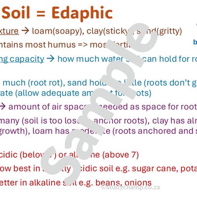 Grade 10 Life Sciences Summaries: Biotic and abiotic factors and Energy flow and nutrient cycles