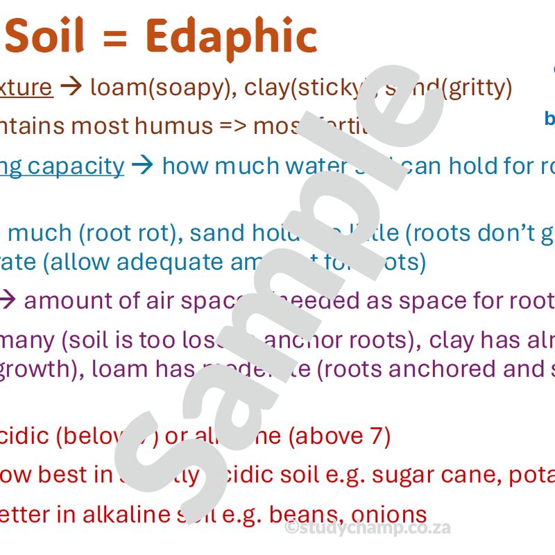Grade 10 Life Sciences Summaries: Biotic and abiotic factors and Energy flow and nutrient cycles