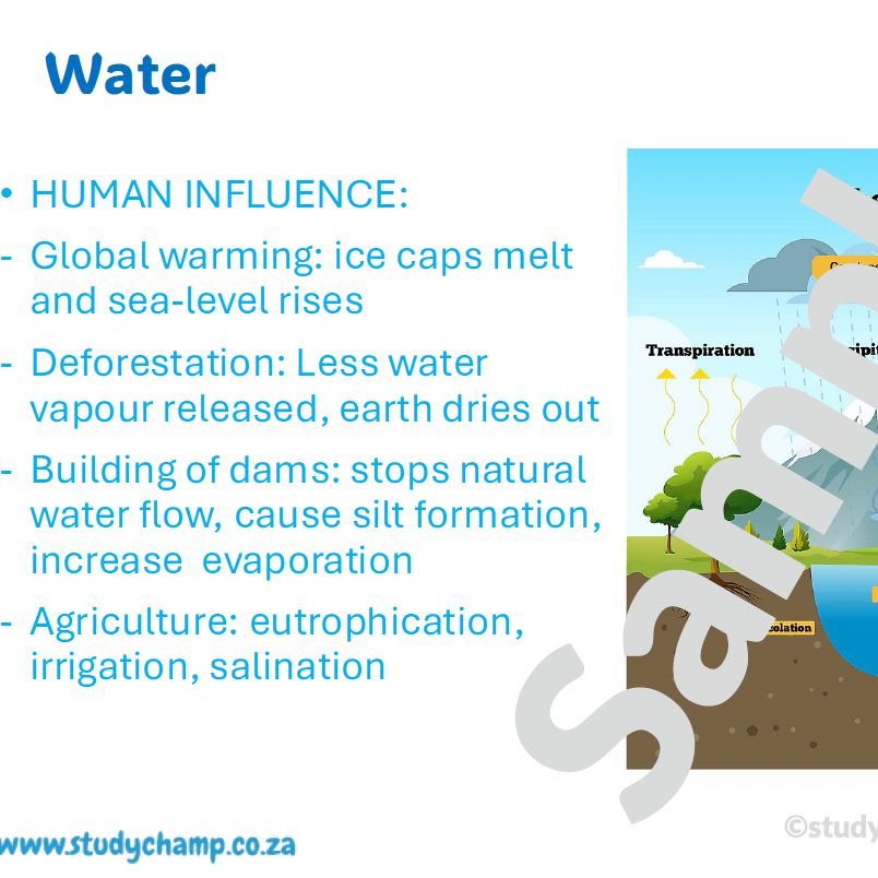 Grade 10 Life Sciences Summaries: Biotic and abiotic factors and Energy flow and nutrient cycles