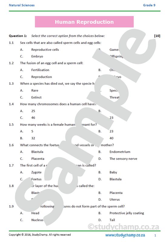 Grade 9 Natural Sciences Bundle
