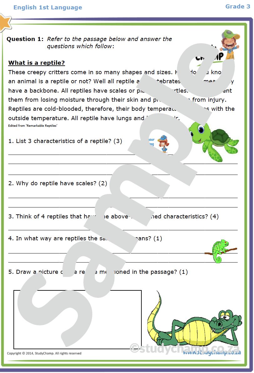 Grade 3 English Home Language