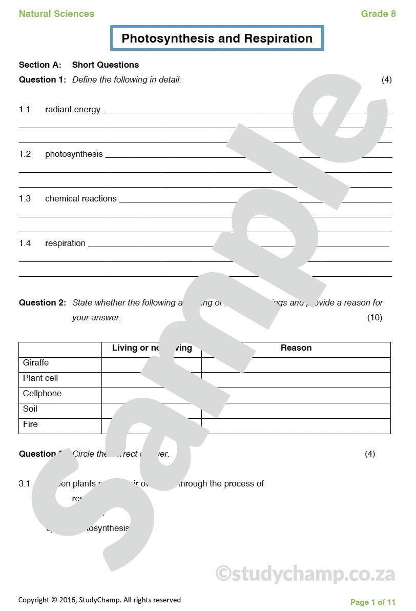 Grade 8 Natural Sciences Test: Photosynthesis and Respiration