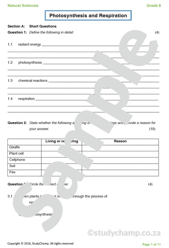 Grade 8 Natural Sciences Test: Photosynthesis and Respiration
