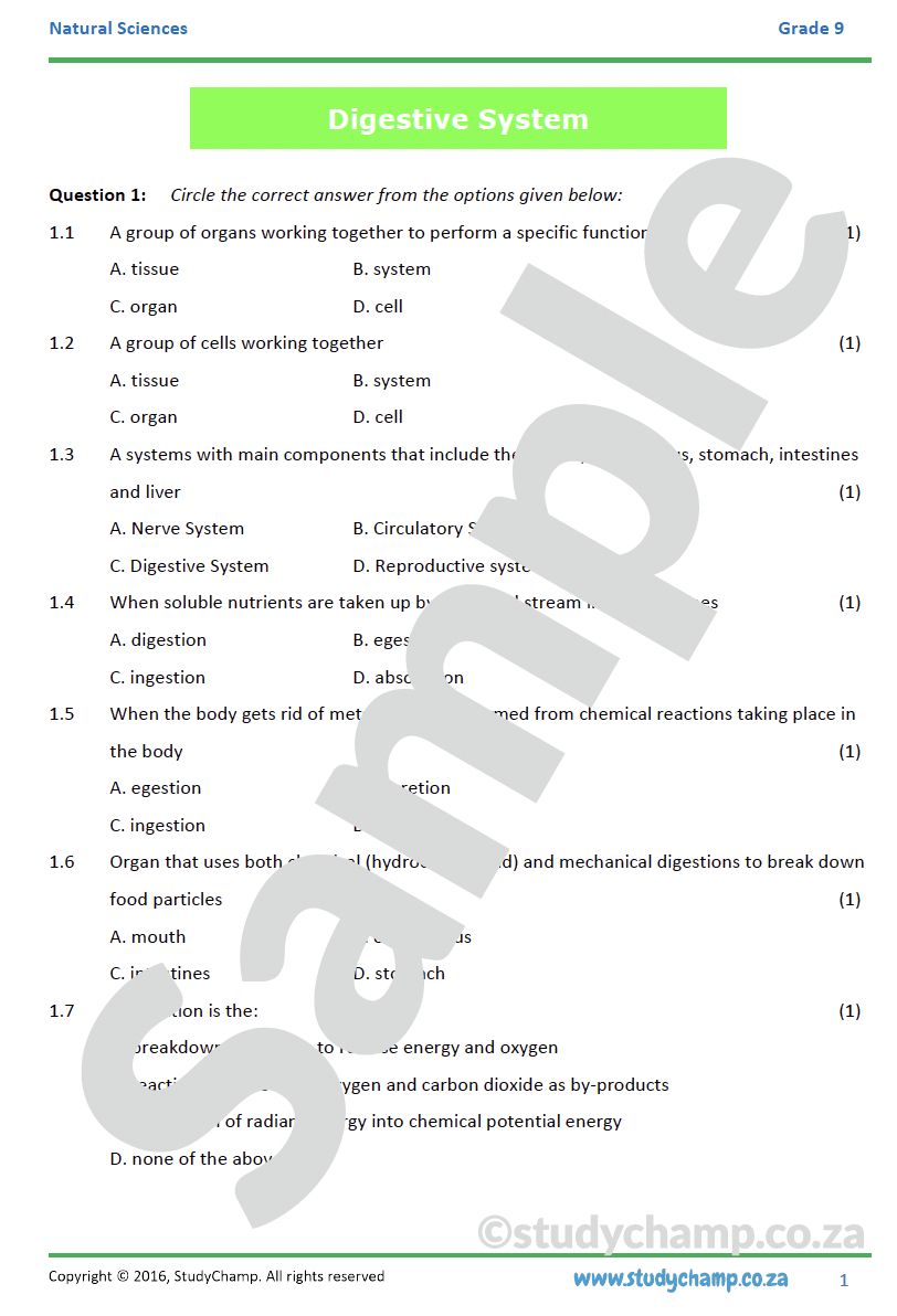 Grade 9 Natural Sciences Test: Digestive System